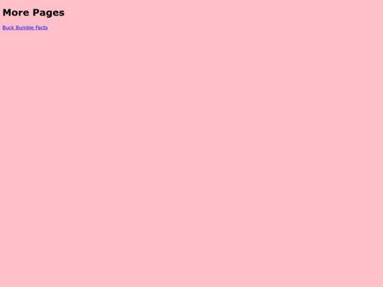 more screenshot