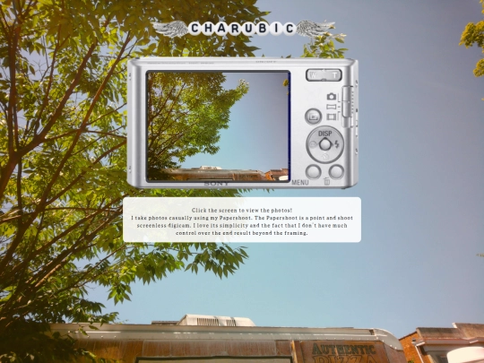 photography screenshot