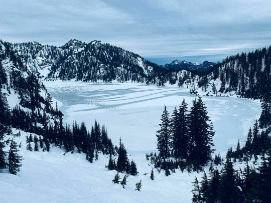 snowlake screenshot
