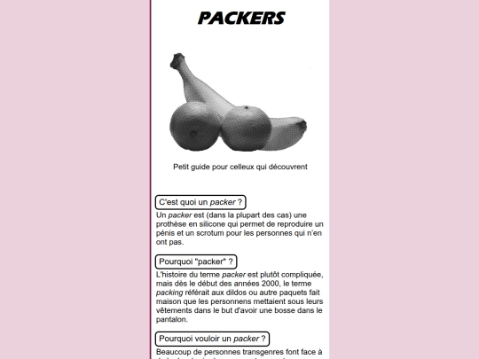 queer/guides/MZT/MZT-P screenshot