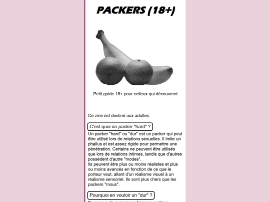 queer/guides/MZT/MZT-P18 screenshot