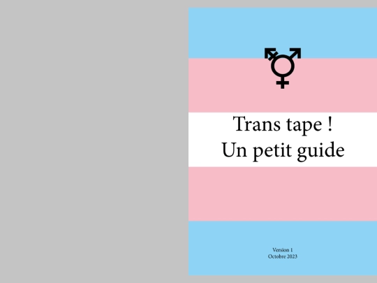 queer/guides/transtape screenshot
