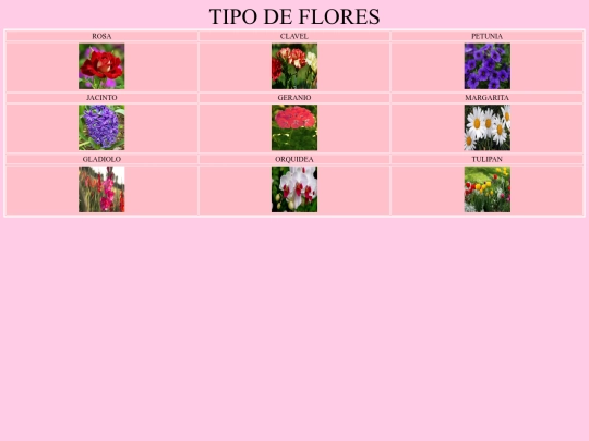 practica11 screenshot