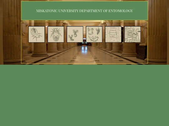 resources/museum/landingpage screenshot