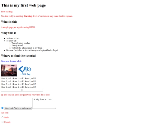 myfirstpage screenshot