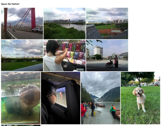pages/camera screenshot