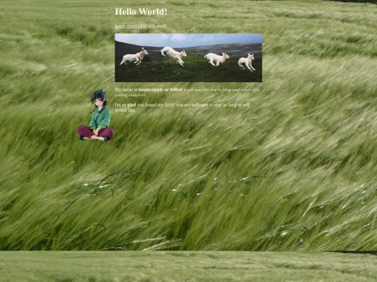 my-feild screenshot