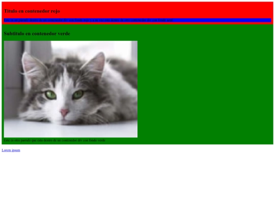 html sematico screenshot