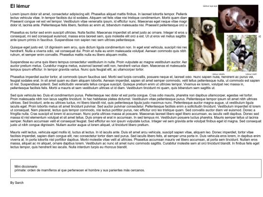 lemur screenshot