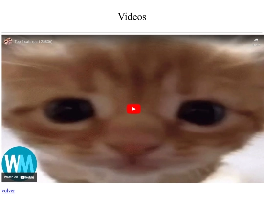 tareas/videos screenshot