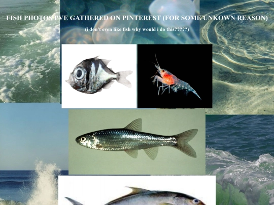 peixe screenshot