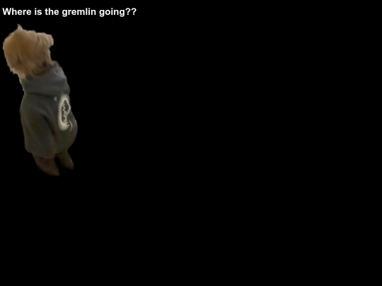 gremlin5 screenshot