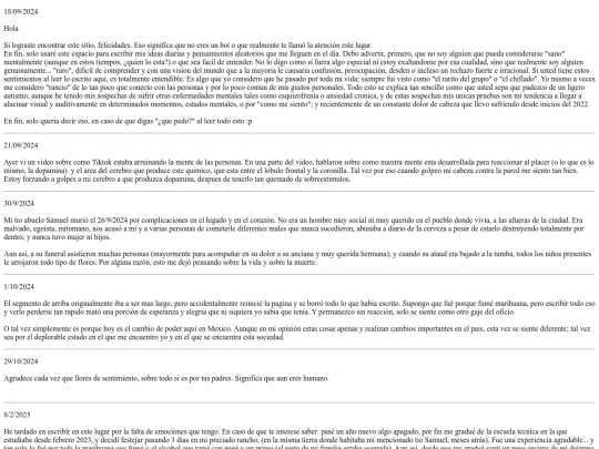 diario screenshot