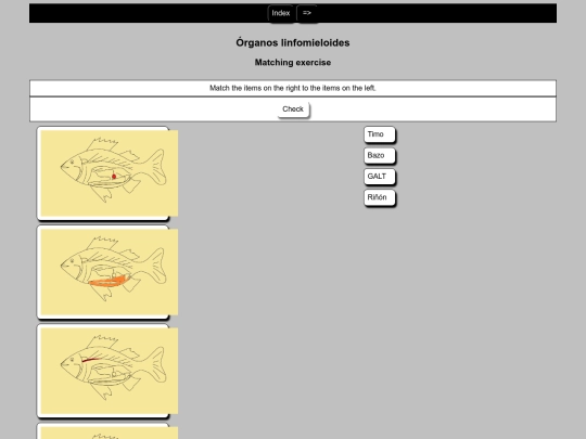 Subcarpetas /organos/organos screenshot