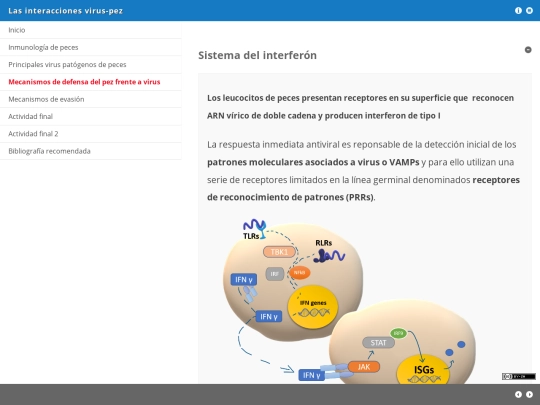ssouto/mecanismos_de_defensa_del_pez_frente_a_virus screenshot