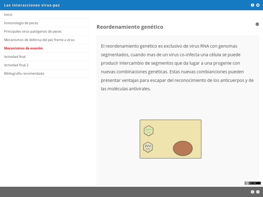 ssouto/mecanismos_de_evasin screenshot