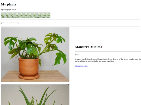 pages/plants screenshot