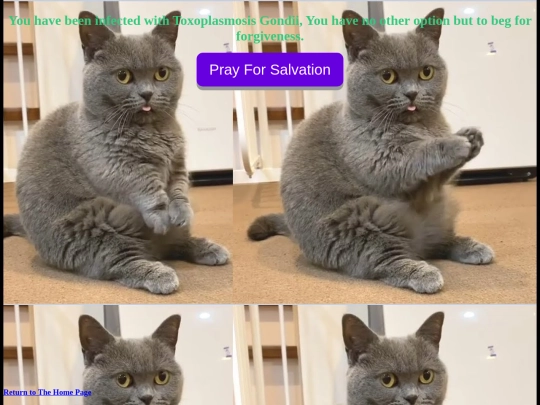 button screenshot