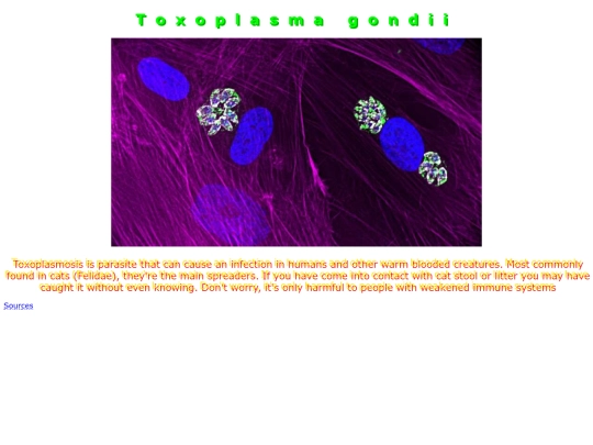 discover screenshot