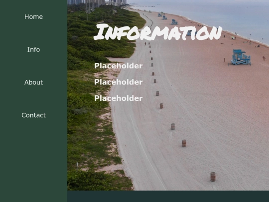 info screenshot