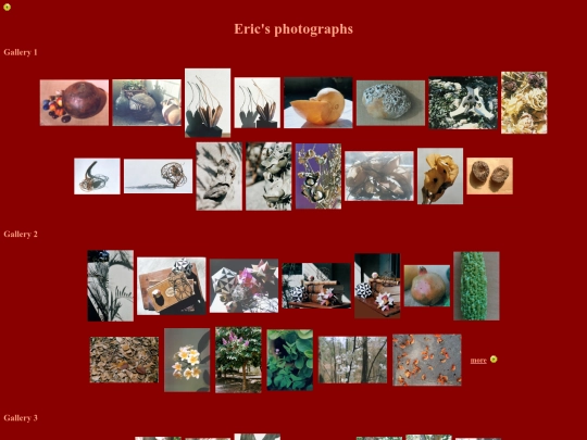 ericsfiles/photos screenshot