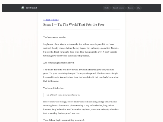 essay-I screenshot