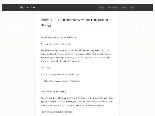essay-II screenshot