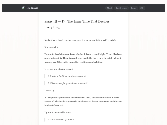 essay-III screenshot