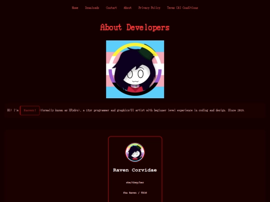 developer screenshot