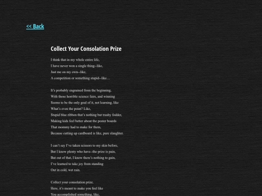 poetry/console screenshot