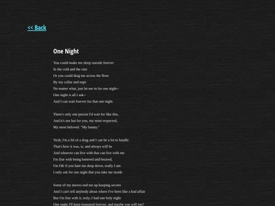 poetry/onenight screenshot
