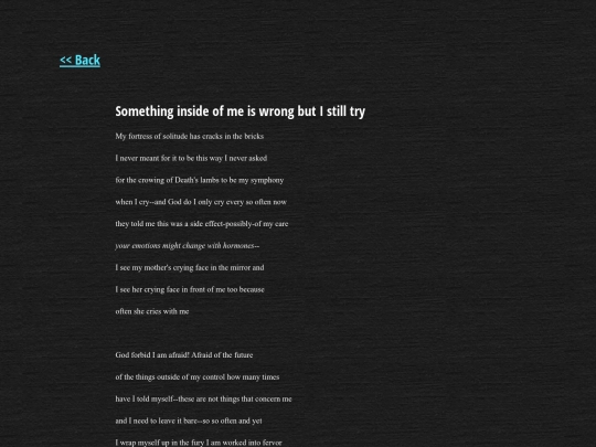 poetry/try screenshot