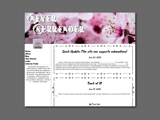 blog screenshot