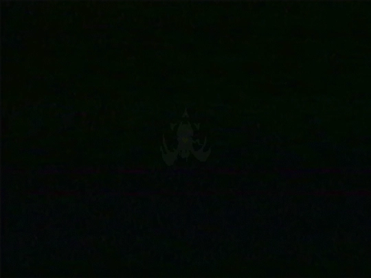 ANGEL screenshot