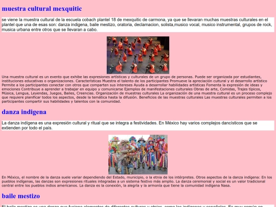 muestraculturalregional2025 screenshot