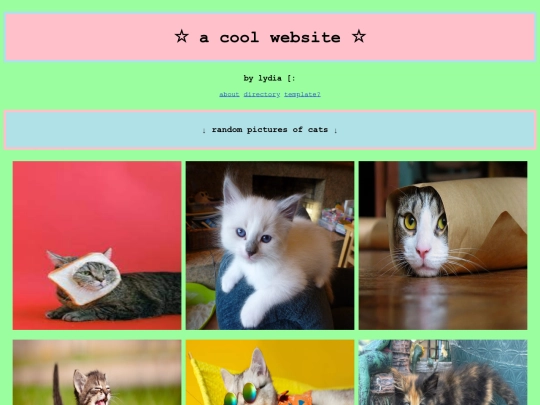 index screenshot