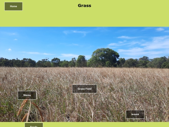 Grass screenshot