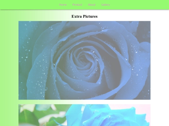 gallery screenshot