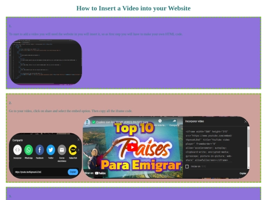 Video Assignment screenshot