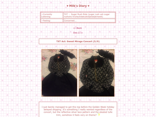 diary-entries/2/diary-2 screenshot