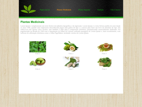 plantas_medicinais screenshot
