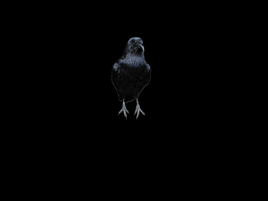 crow screenshot