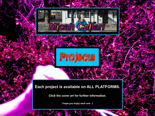 projects screenshot