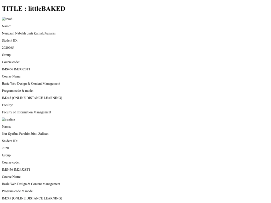 webmaster screenshot