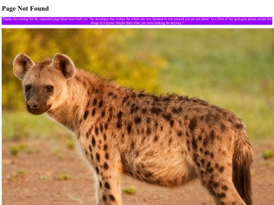not_found screenshot