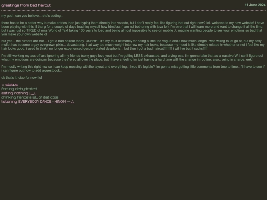 entries/061124 screenshot