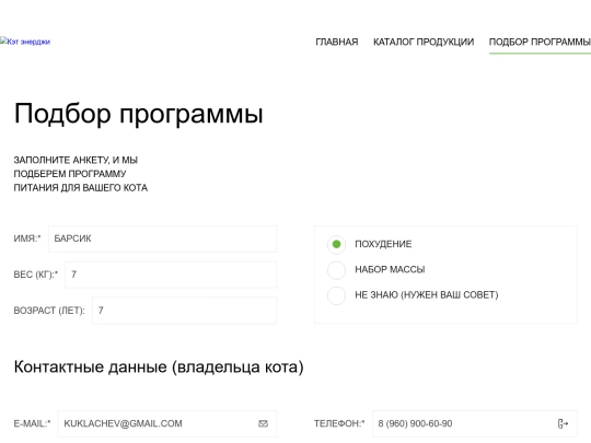 2_cat-energy/form screenshot