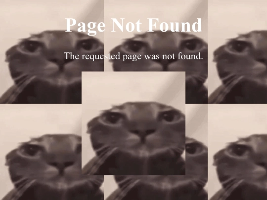 not_found screenshot