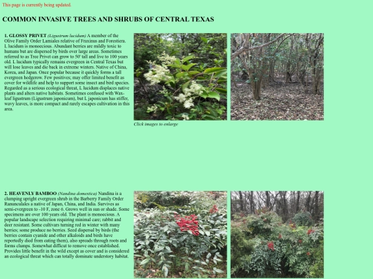 about_invasives screenshot