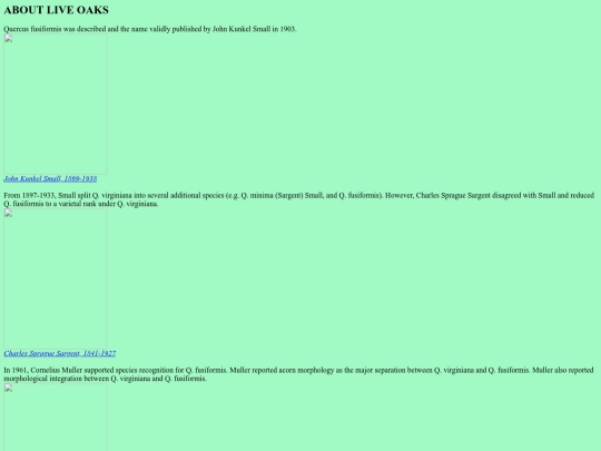 about_live_oaks screenshot